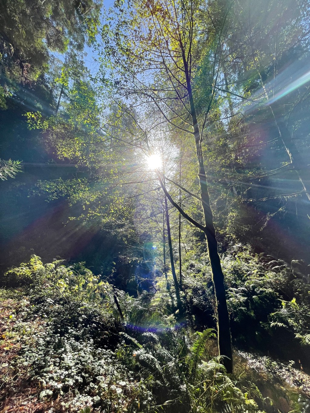 10 Fun Things To Do In Mendocino&nbsp;County